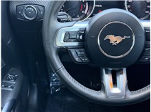 Vehicle Thumb #29