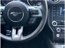 Vehicle Thumb #31