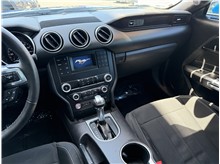 Vehicle Thumb #32