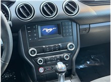Vehicle Thumb #33