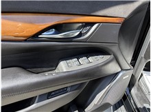 Vehicle Thumb #15