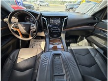 Vehicle Thumb #32