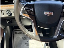Vehicle Thumb #41