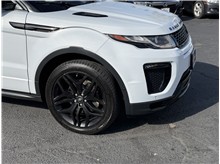 Vehicle Thumb #7
