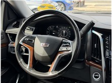 Vehicle Thumb #39