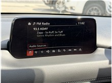 Vehicle Thumb #47