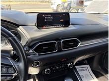 Vehicle Thumb #40