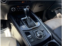 Vehicle Thumb #41