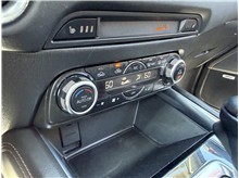 Vehicle Thumb #42