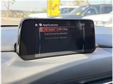 Vehicle Thumb #47
