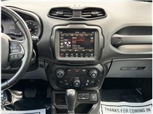 Vehicle Thumb #44