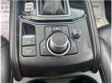 Vehicle Thumb #14