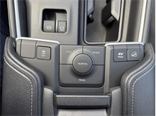 Vehicle Thumb #28