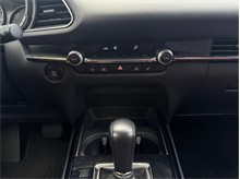 Vehicle Thumb #20