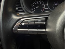 Vehicle Thumb #22