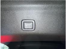 Vehicle Thumb #23