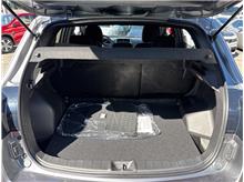Vehicle Thumb #18