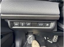Vehicle Thumb #19