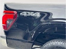 Vehicle Thumb #11