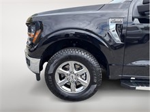 Vehicle Thumb #4