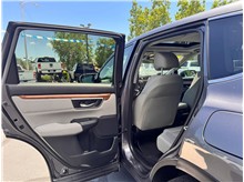 Vehicle Thumb #11