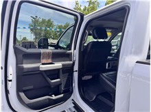 Vehicle Thumb #11