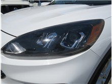 Vehicle Thumb #53