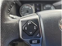 Vehicle Thumb #40