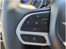Vehicle Thumb #52