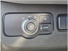 Vehicle Thumb #47