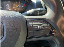 Vehicle Thumb #36