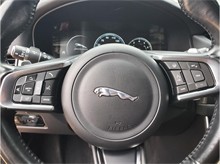 Vehicle Thumb #32