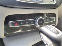 Vehicle Thumb #38