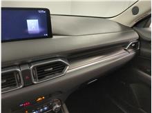 Vehicle Thumb #17