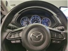 Vehicle Thumb #21