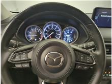 Vehicle Thumb #21