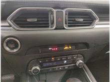 Vehicle Thumb #18
