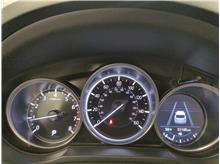 Vehicle Thumb #22