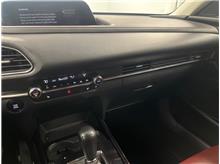 Vehicle Thumb #16