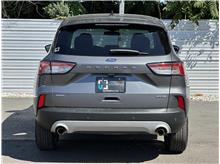 Vehicle Thumb #11