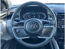 Vehicle Thumb #7