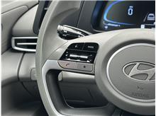 Vehicle Thumb #20