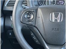 Vehicle Thumb #21
