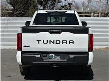 Vehicle Thumb #11