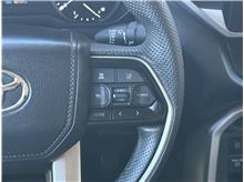 Vehicle Thumb #22