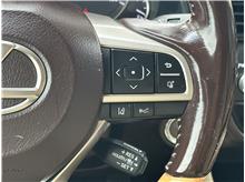 Vehicle Thumb #22
