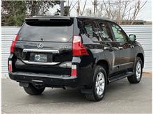 Vehicle Thumb #10