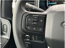 Vehicle Thumb #21