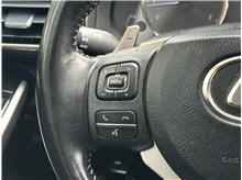 Vehicle Thumb #21