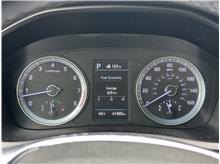 Vehicle Thumb #20